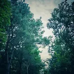 Holiday home Nowy Gaj Wilczyn