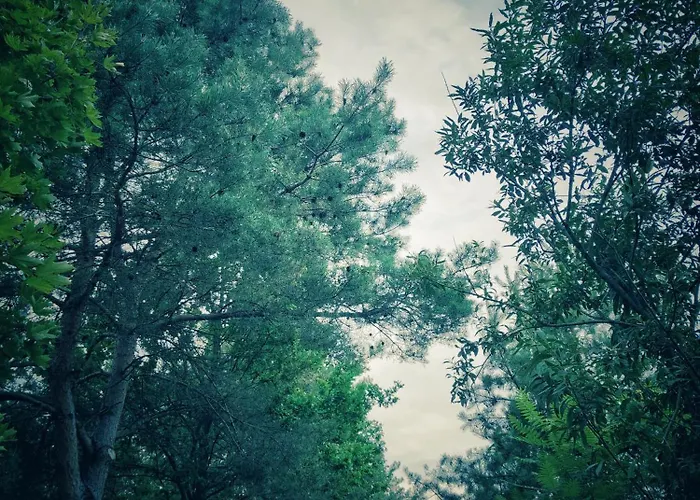 Holiday home Nowy Gaj Wilczyn